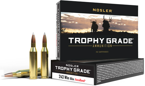 NOSLER TROPHY GRADE 243 WIN 90GR ACCUBOND TIP 20RD 10BX/CS - for sale