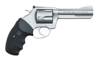 CHARTER ARMS TARGET MAGNUM 357MAG 4.2" S/S ADJ - for sale