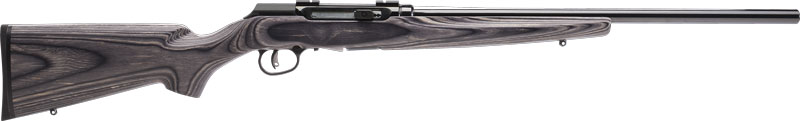 SAV A17 SPORTER 17HMR 22" 10RD LAM - for sale