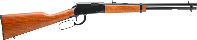 ROSSI RIOBRAVO 22LR 18" 15RD HW - for sale