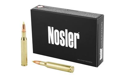 NOSLER 270 WIN 140GR BALLISTIC TIP 20RD 10BX/CS - for sale