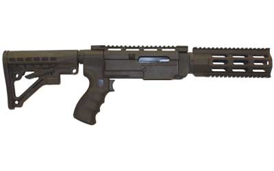 ARCHANGEL 10/22 ARS RIFLE PKG 6-POS - for sale