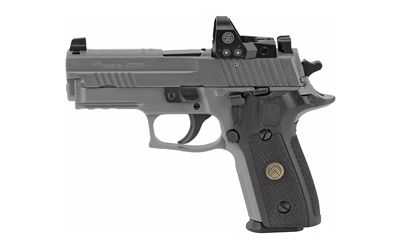 SIG P229 LGION 9MM 3.9" 15RD GRY RXP - for sale
