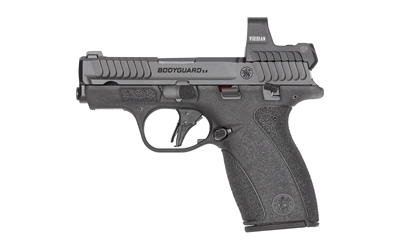 S&W BDYGRD 2.0 RFX1 380ACP 12RD TS - for sale