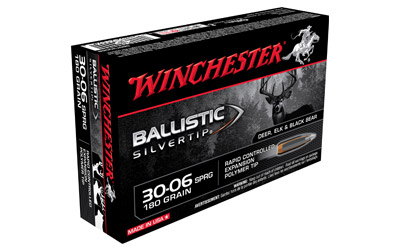 WIN BLSTC TIP 3006SP 180GR 20/200 - for sale